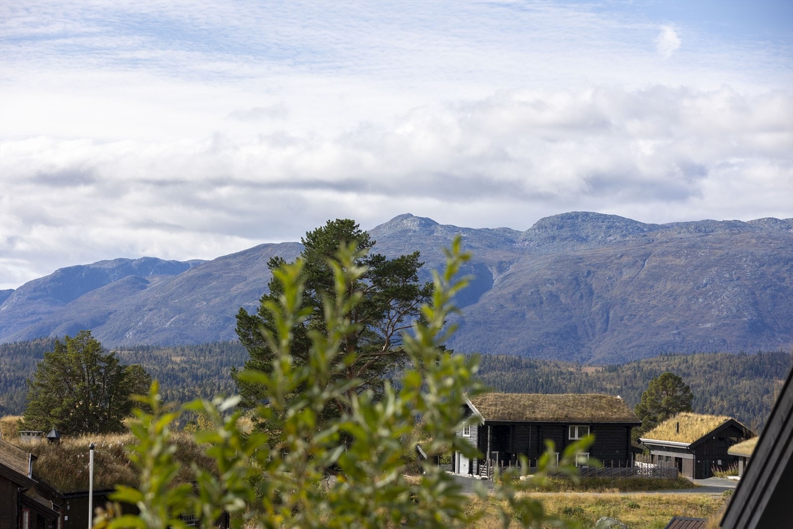 Nydelig utsikt mot Raulandsfjella. Galleribilde