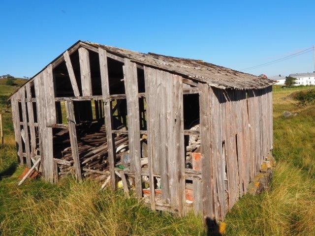 Sommerfjøs Galleribilde