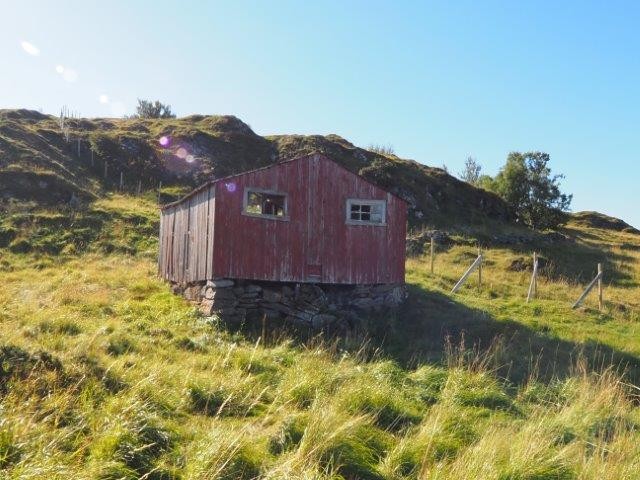 Sommerfjøs Galleribilde
