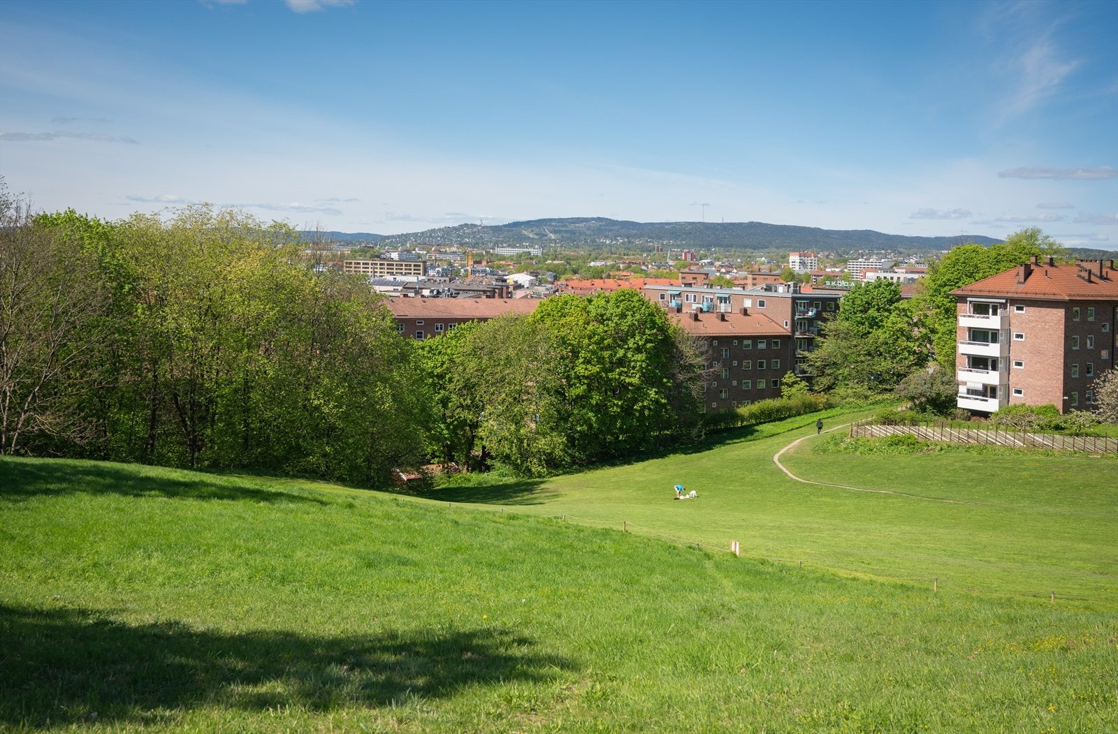 Nærområdet byr på flere grønne lunger og parker, som Tøyenparken og Ola Narr. Galleribilde