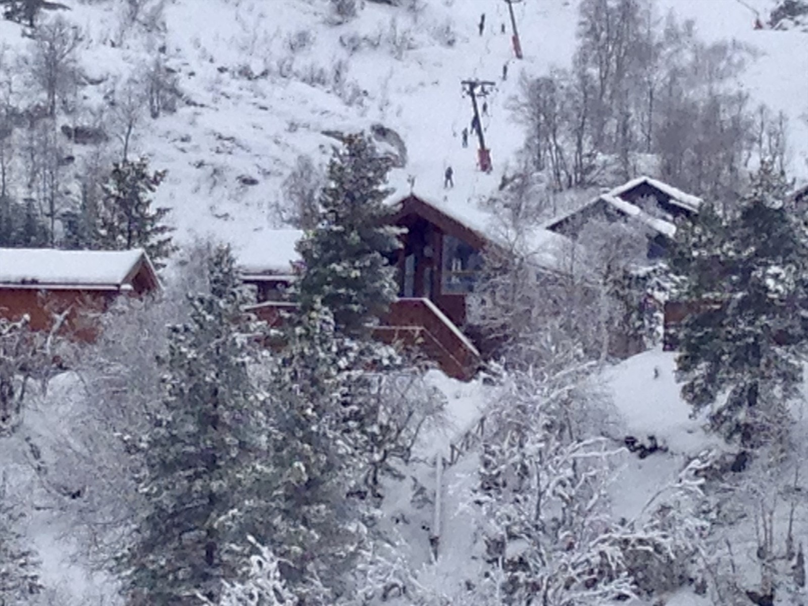 Tjørhom vinter.jpg Galleribilde