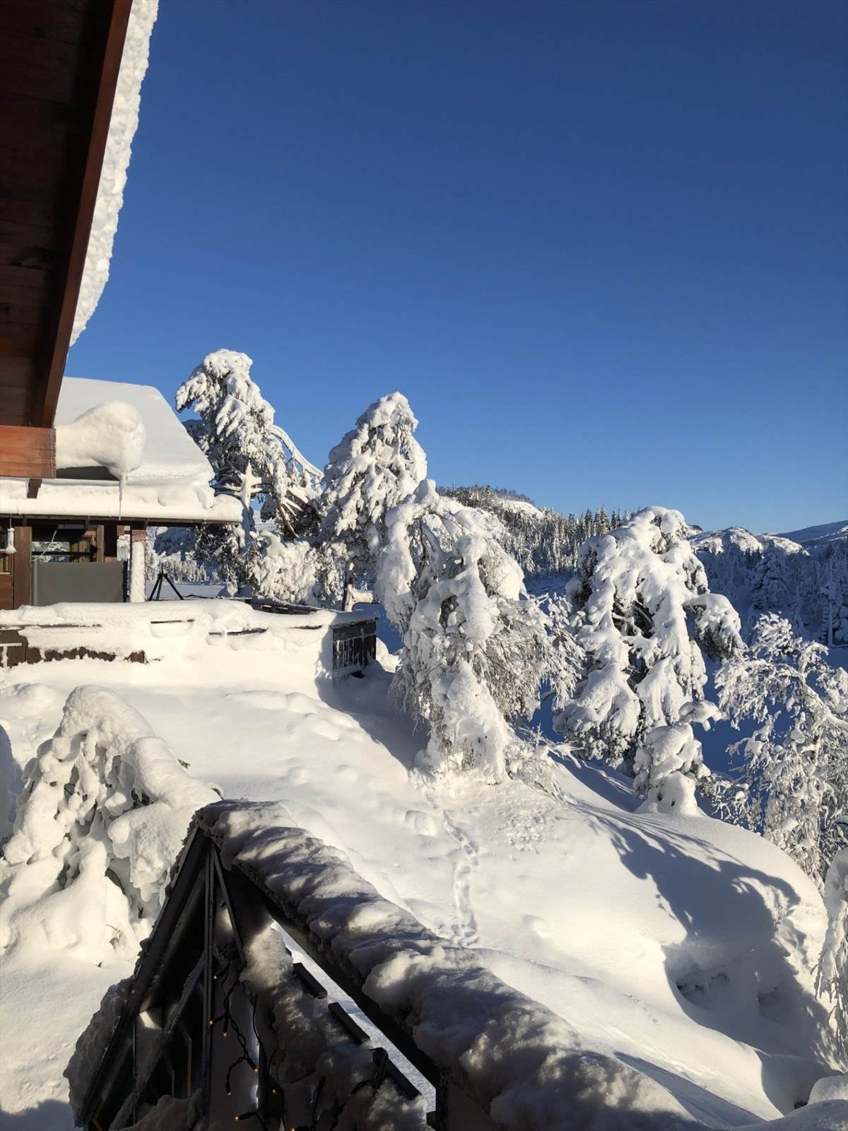 Tjørhom winterwonderland.jpg Galleribilde