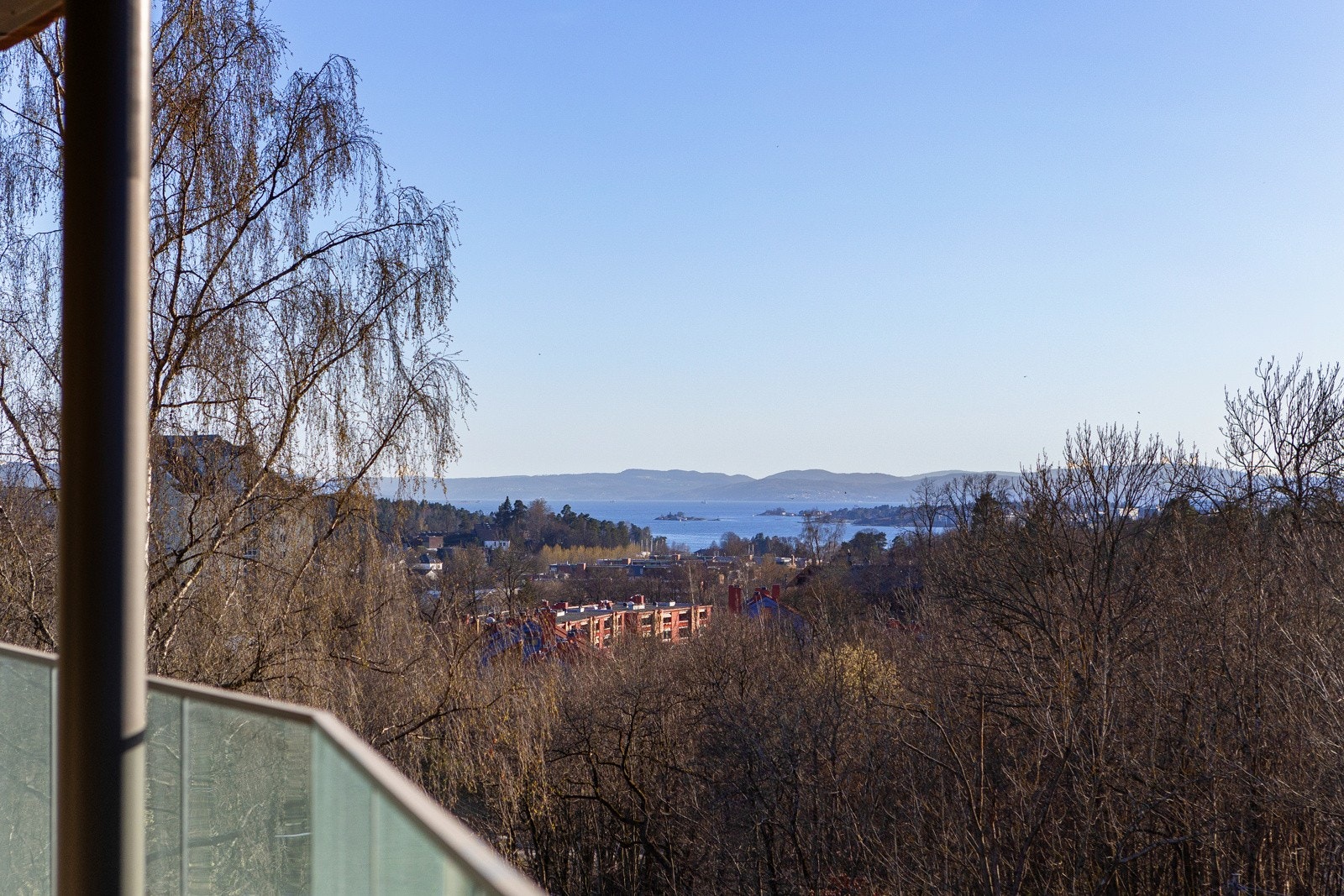 Nydelig utsikt over frodige tretopper til byen og Oslofjorden. Galleribilde