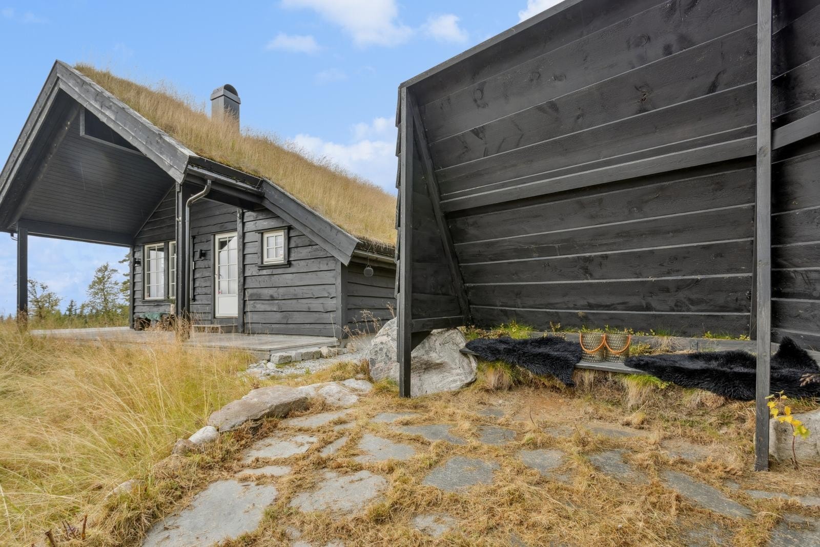 Uteområde med gapahuk Galleribilde