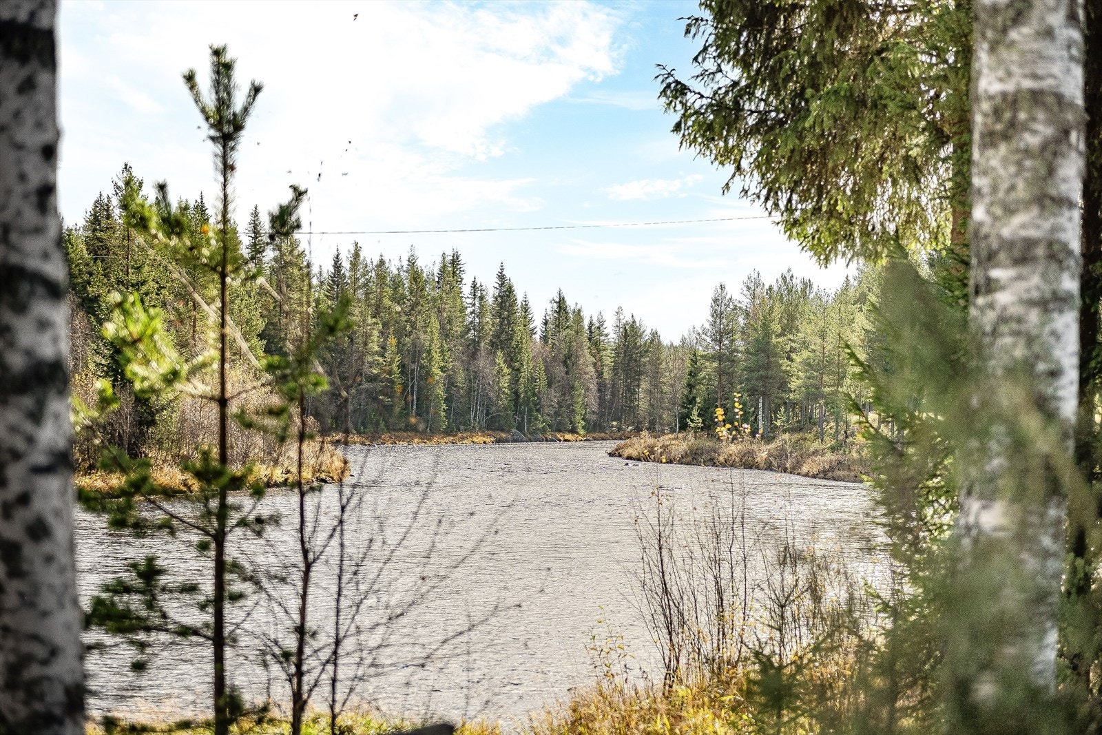 Den ene tomten grenser til Nordre Osa, slik at du får din egen private elvestrekning - perfekt for fiske, bading eller bare å nyte lyden av rennende vann. Galleribilde