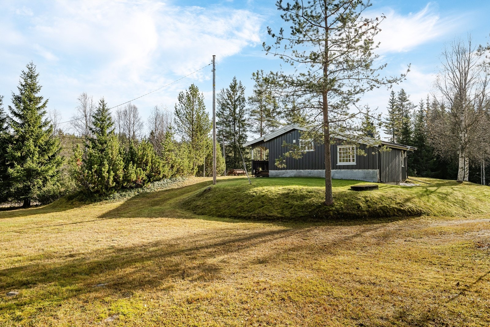 Store plenarealer med gode solforhold! Galleribilde