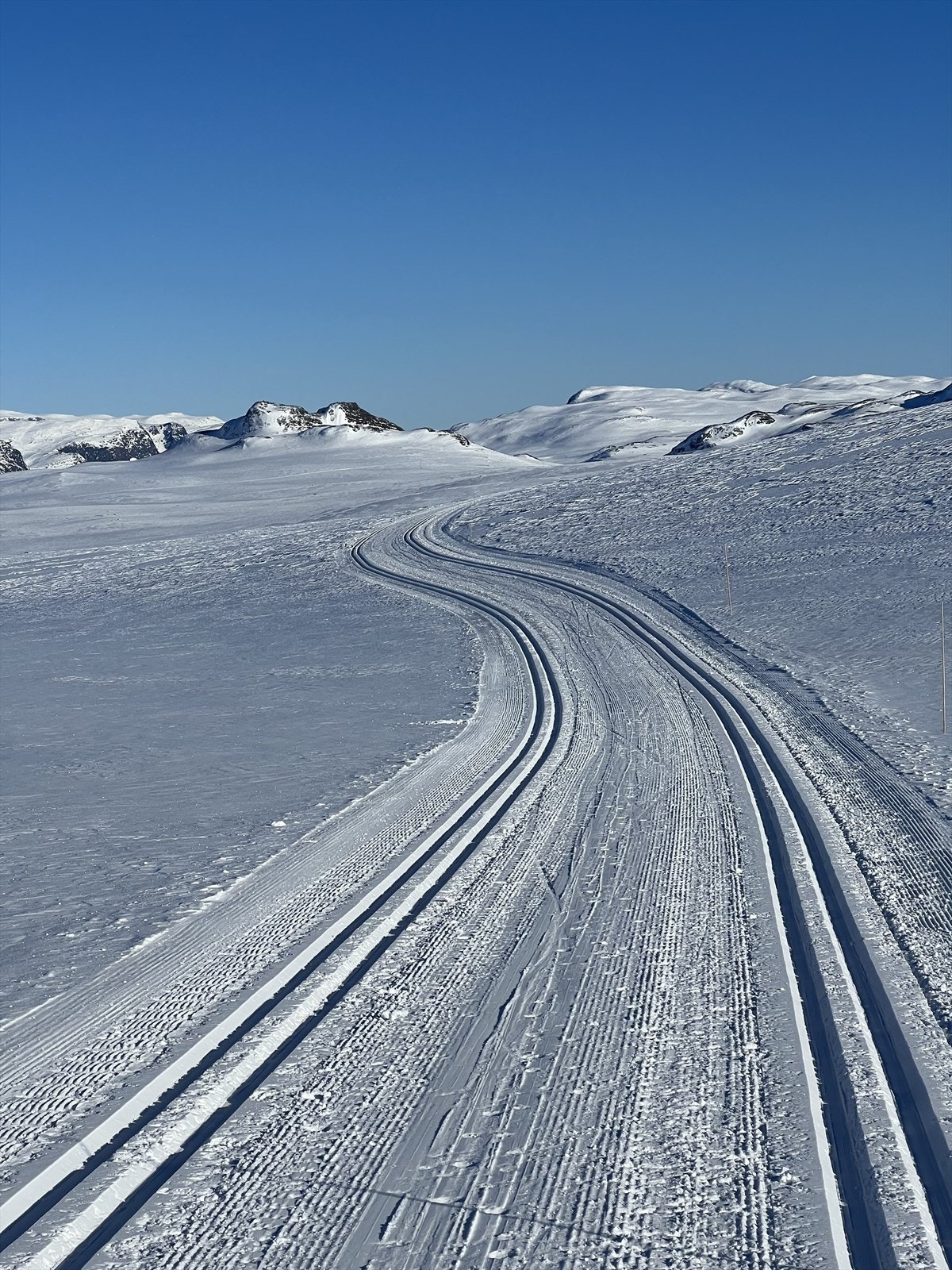 Ski in/ski out fra hytta! Galleribilde