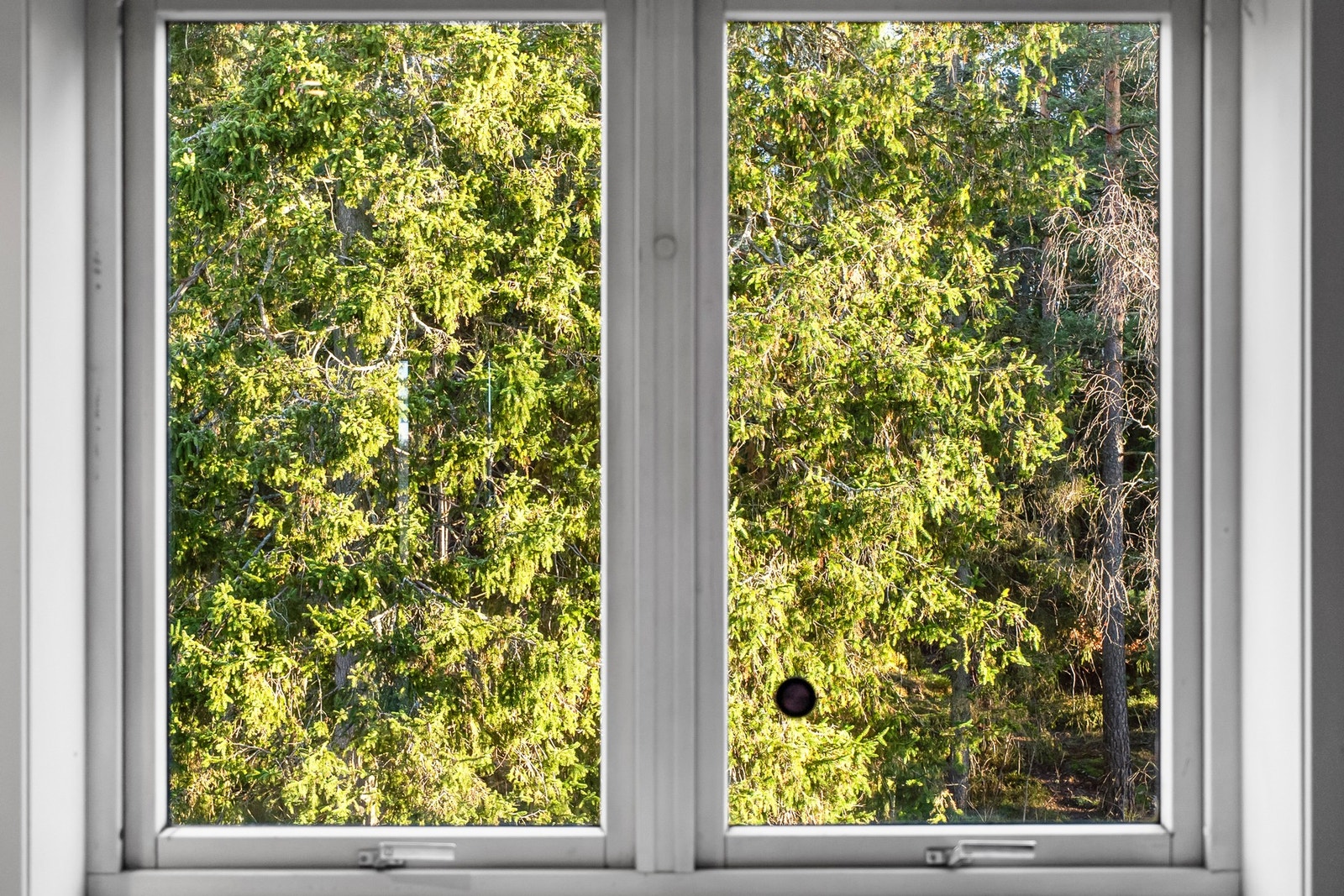 Soverommet ligger behagelig skjermet, vendt mot grønt skogholt. Galleribilde