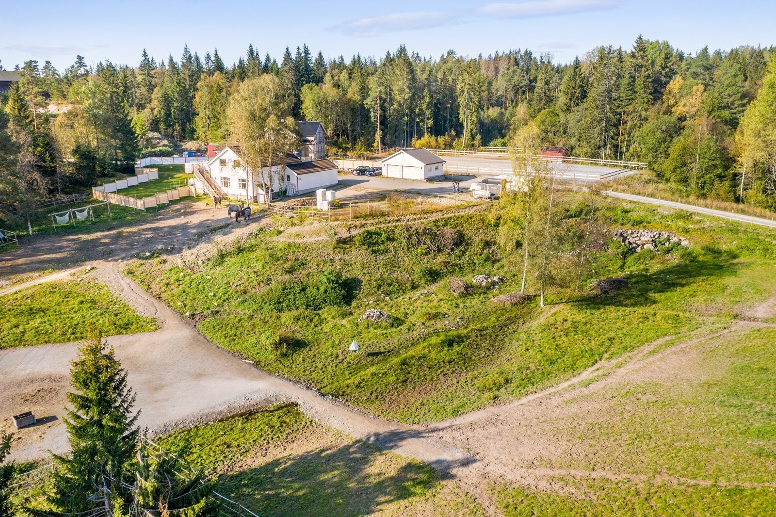 Hestebeite på nedsiden av boligen Galleribilde