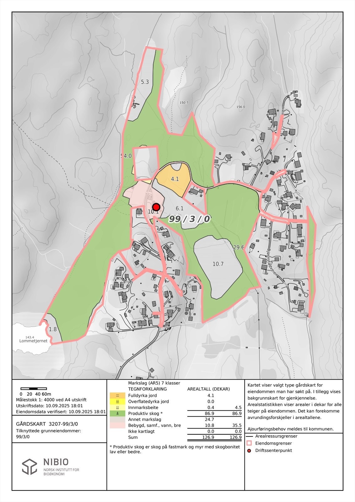 Gårdskart fra Nibio Galleribilde