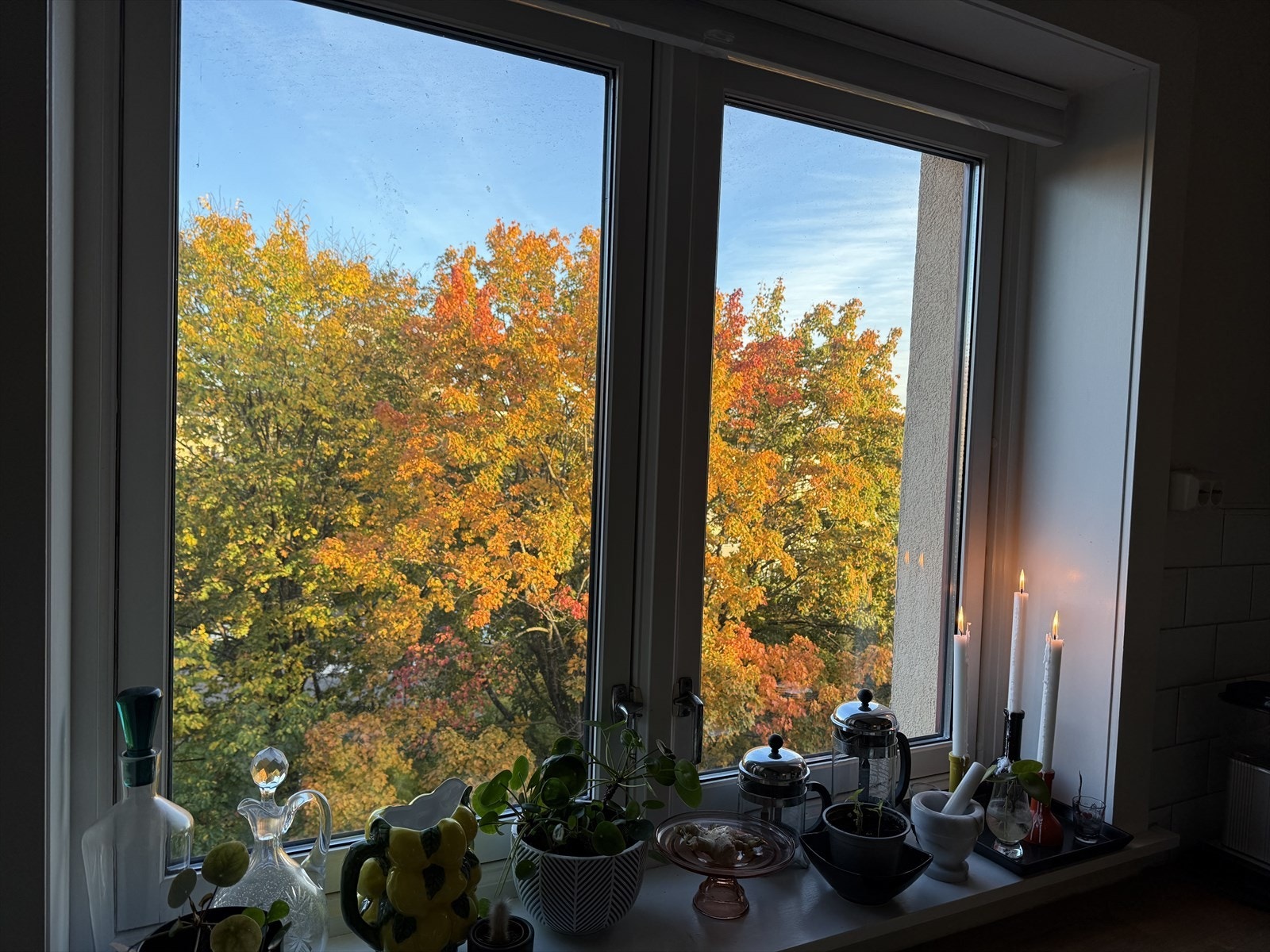 Selgers bilde fra kjøkken - Herlig, grønt utsyn Galleribilde