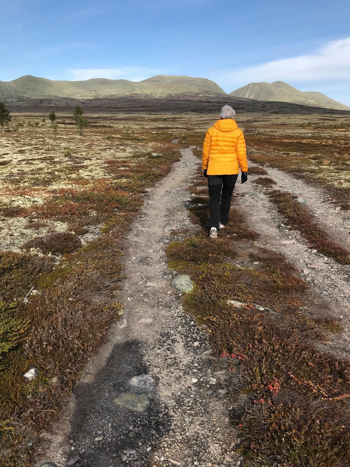 Her ligger alt tilrette for fine turer hele året. (privat bilde) Galleribilde