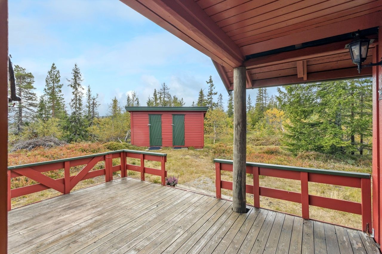 Fra det delvis overbygde inngangspartiet har du utsikt utover flott natur. Galleribilde