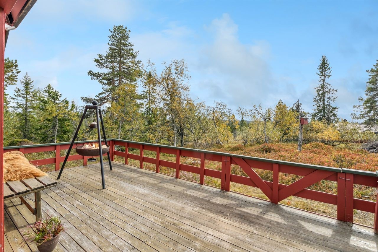 Nyt gode solforhold og en rolig atmosfære på den romslige terrassen. Galleribilde