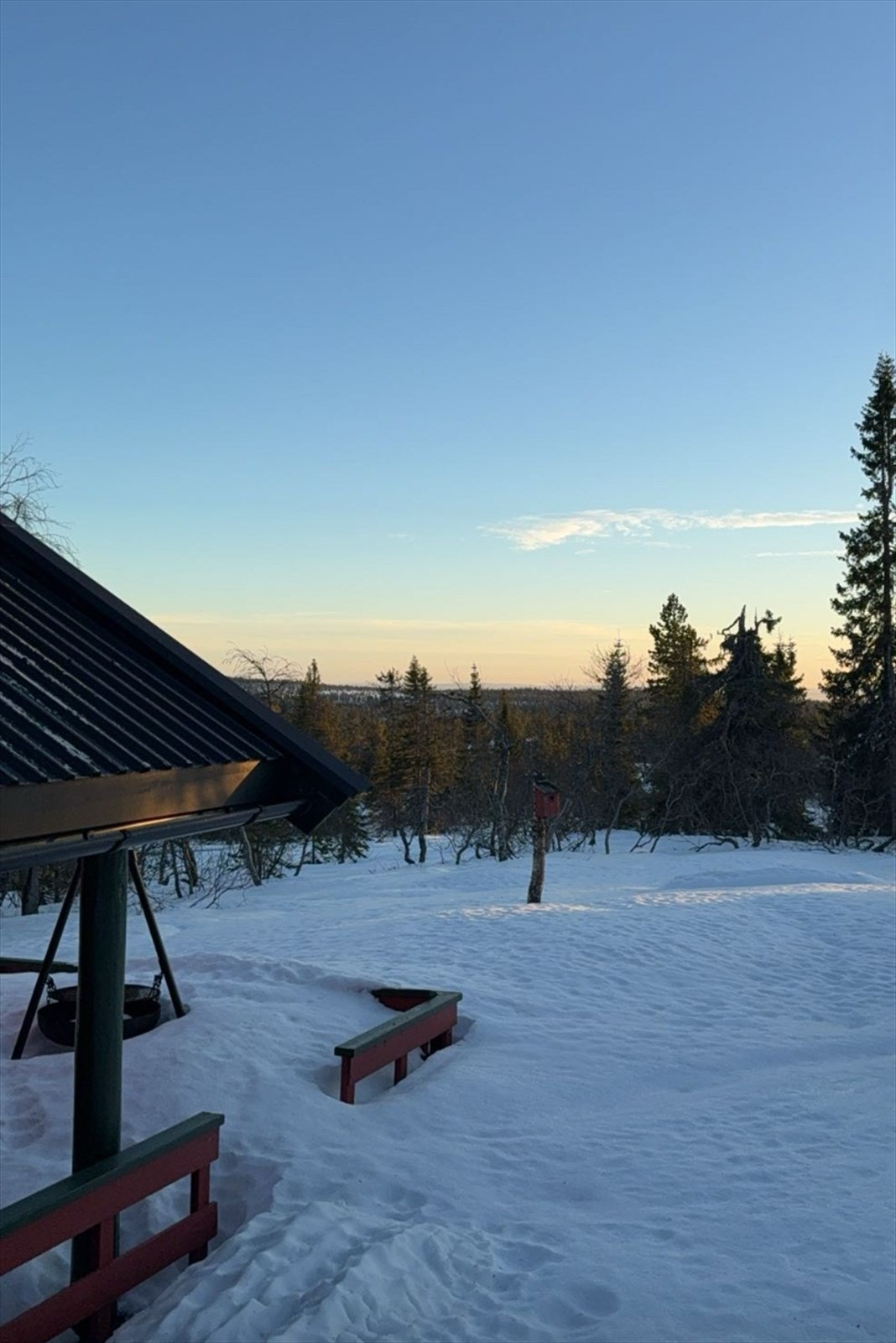 Selgers private bilder Galleribilde