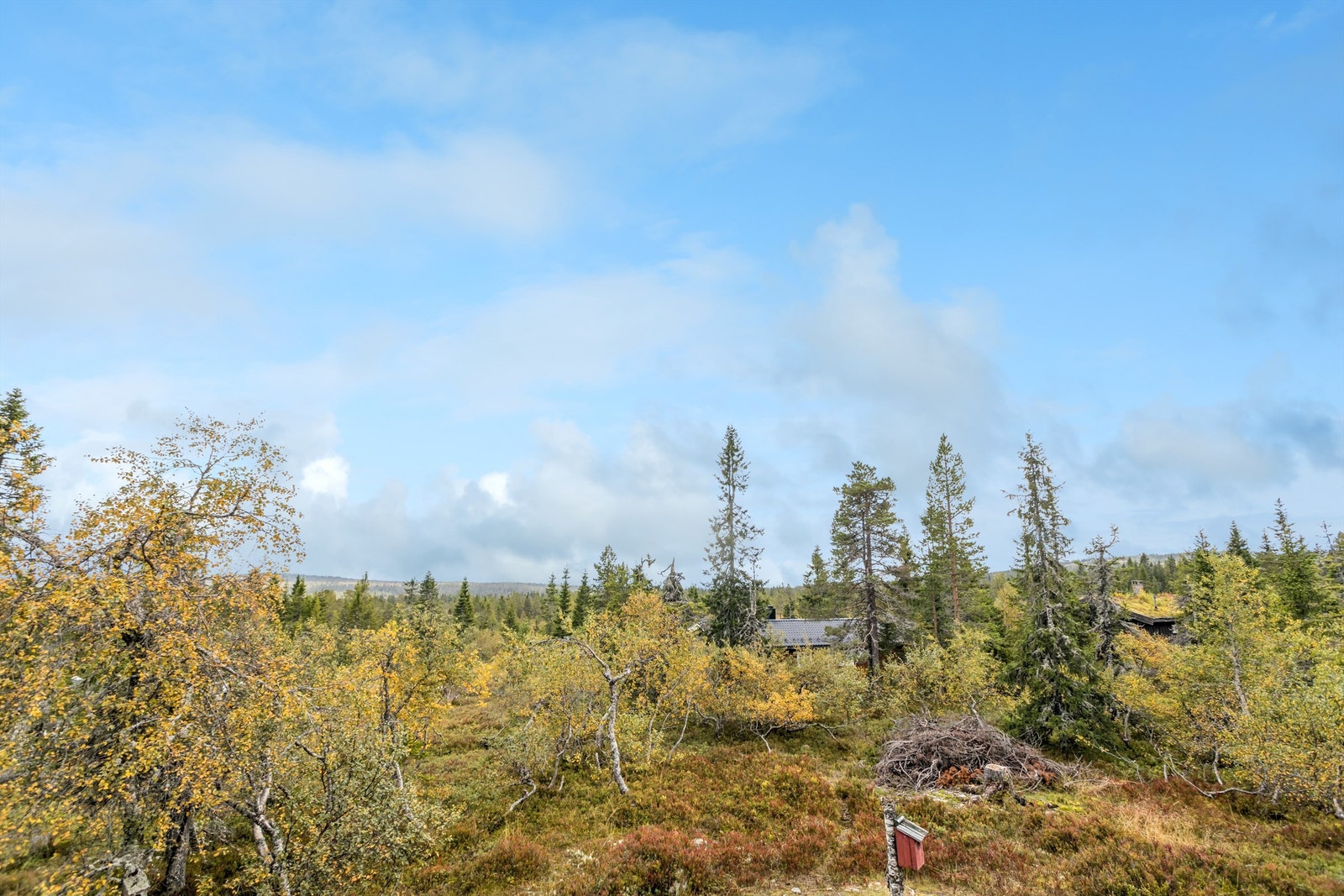 Området byr på storslått natur og et stort utvalg av merkede turløyper for fotturer og sykling. Galleribilde