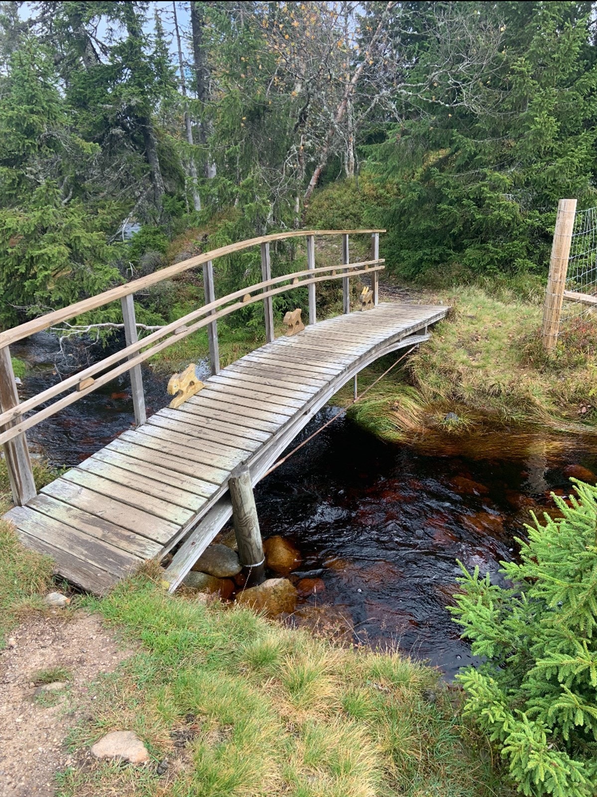 Selgers private bilder Galleribilde