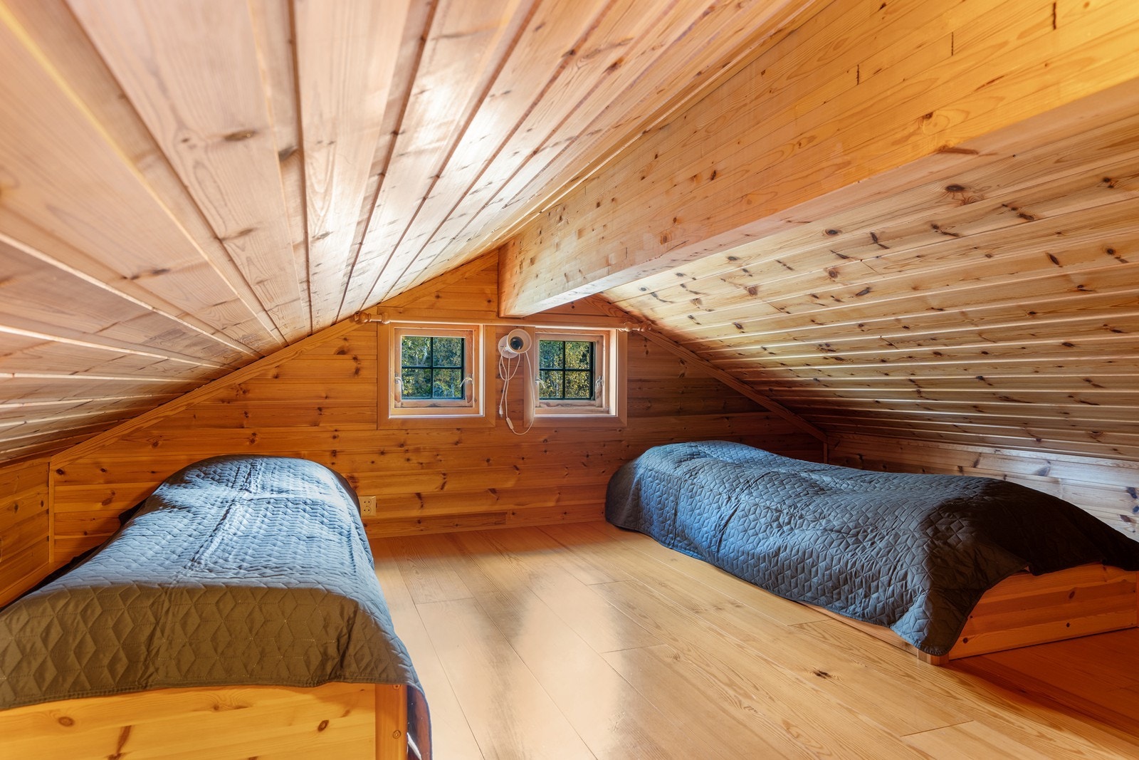 Hems 2. Galleribilde