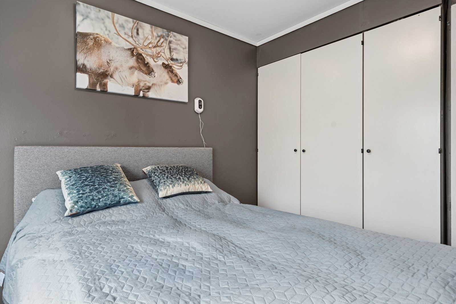 Dempet fargevalg på veggene inviterer til ro og trivsel. Godt med skapplass. Galleribilde