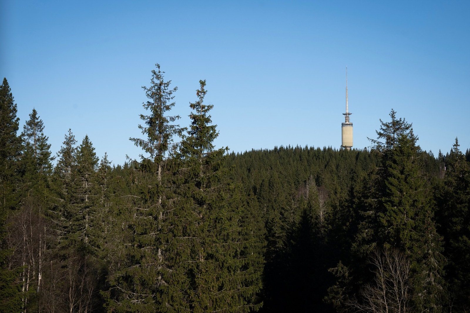 Fantastiske turmuligheter året rundt - med Nordmarkas store løypenettverk rett ved og Skimore Oslo kun en kort tur unna for både ski, sykling og friluftsliv. Galleribilde