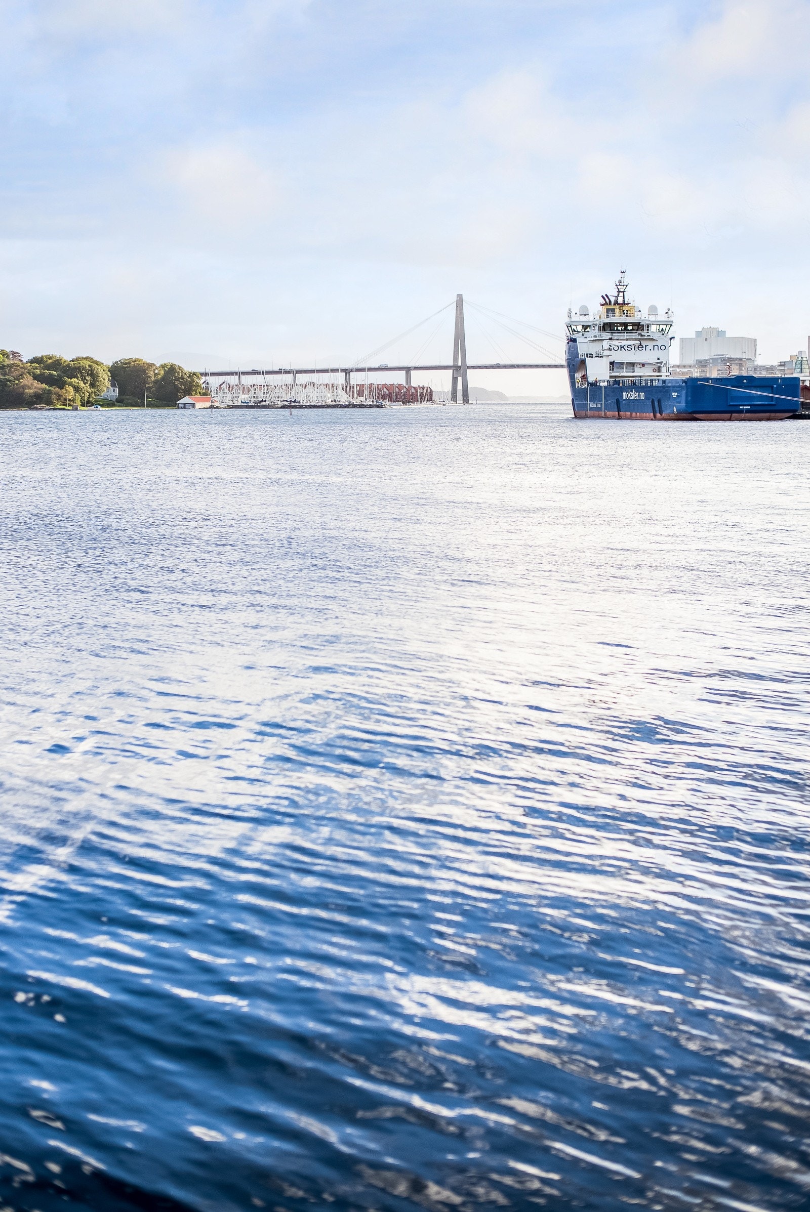 Nærområde Galleribilde