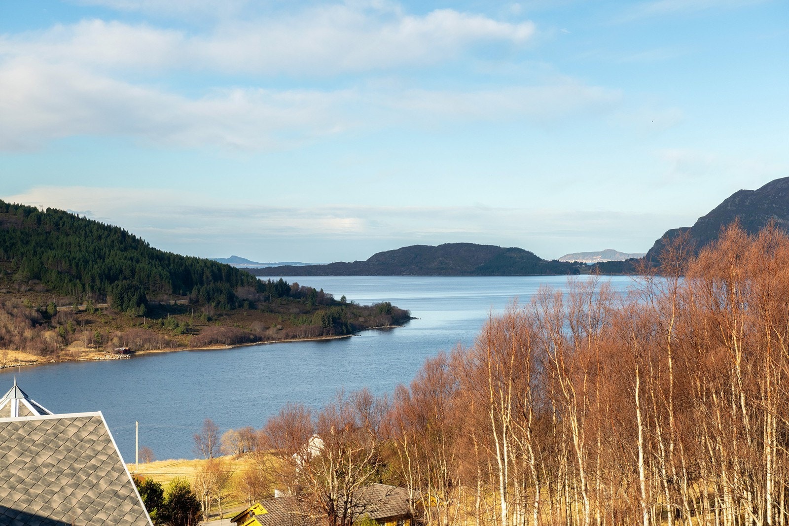 Utsikt mot Vestrefjorden Galleribilde