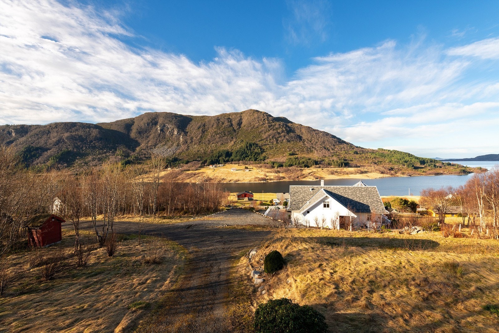 Utsikt fra veranda mot adkomstvei Galleribilde