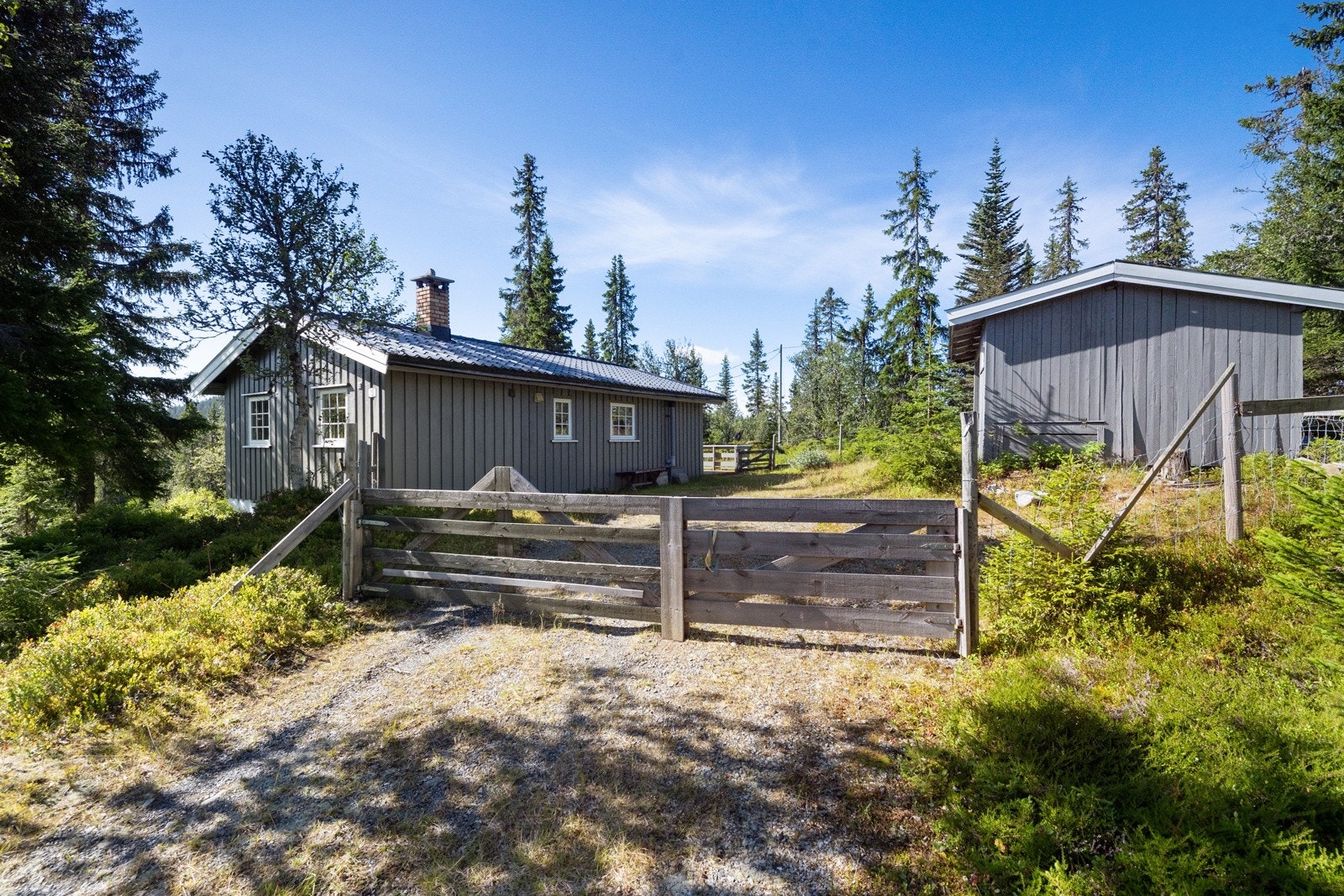 Flotte turmuligheter i området både sommer og vinter med oppmerkede turstier bl.a til Skinnerlifjellet, som ligger på ca. 925 moh. Galleribilde