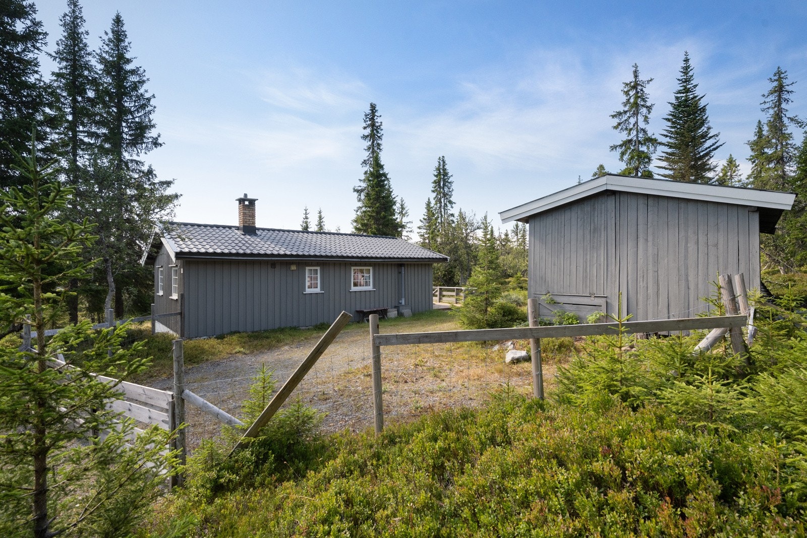 På vinterstid er det fantastiske skiløyper i umiddelbar nærhet Galleribilde