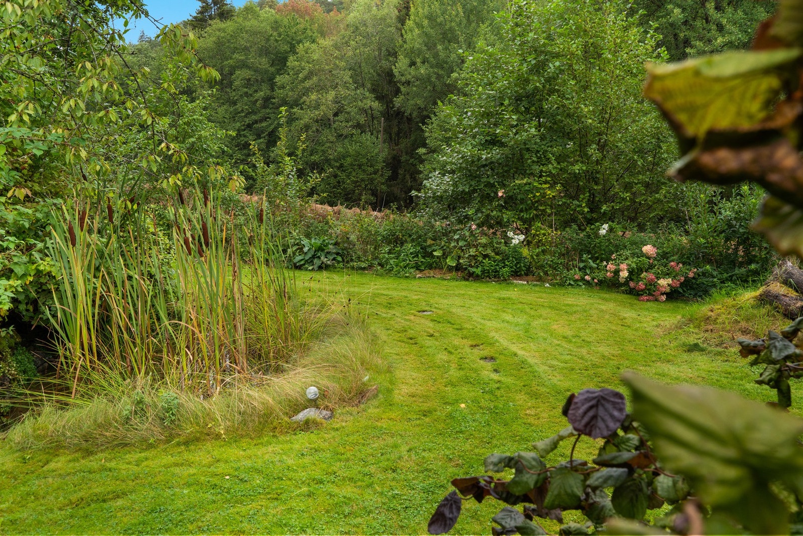 Pent opparbeidet hage med store grøntarealer Galleribilde