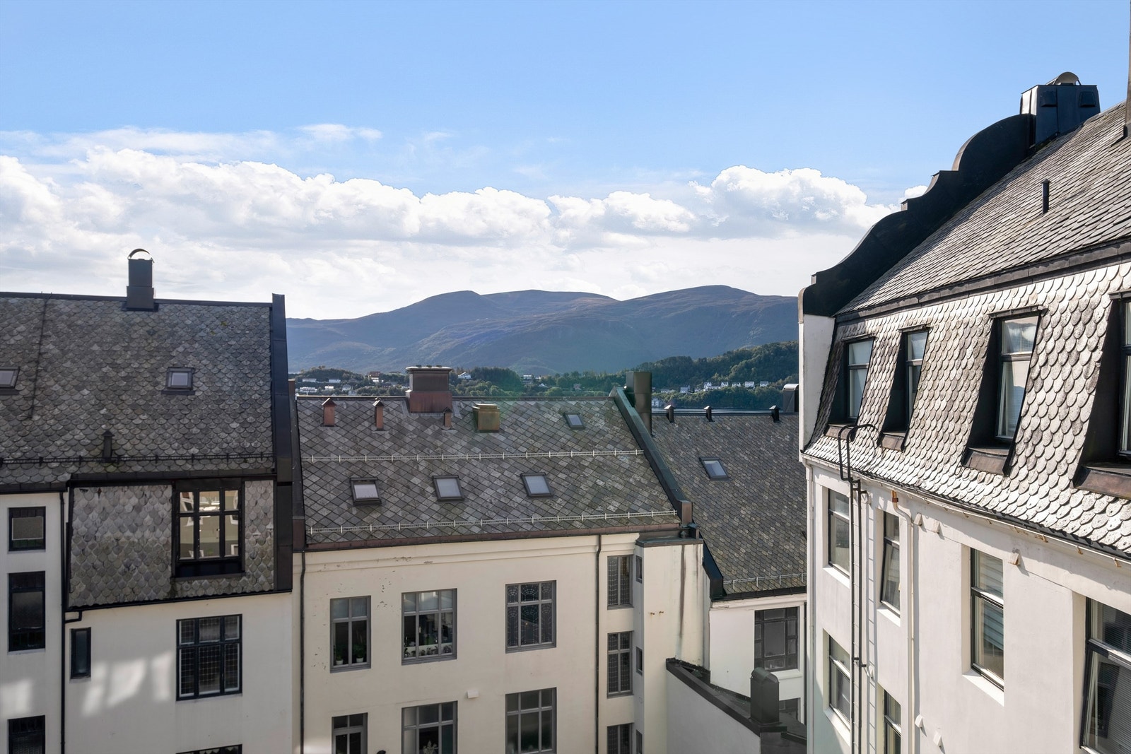 Utsikt. Galleribilde