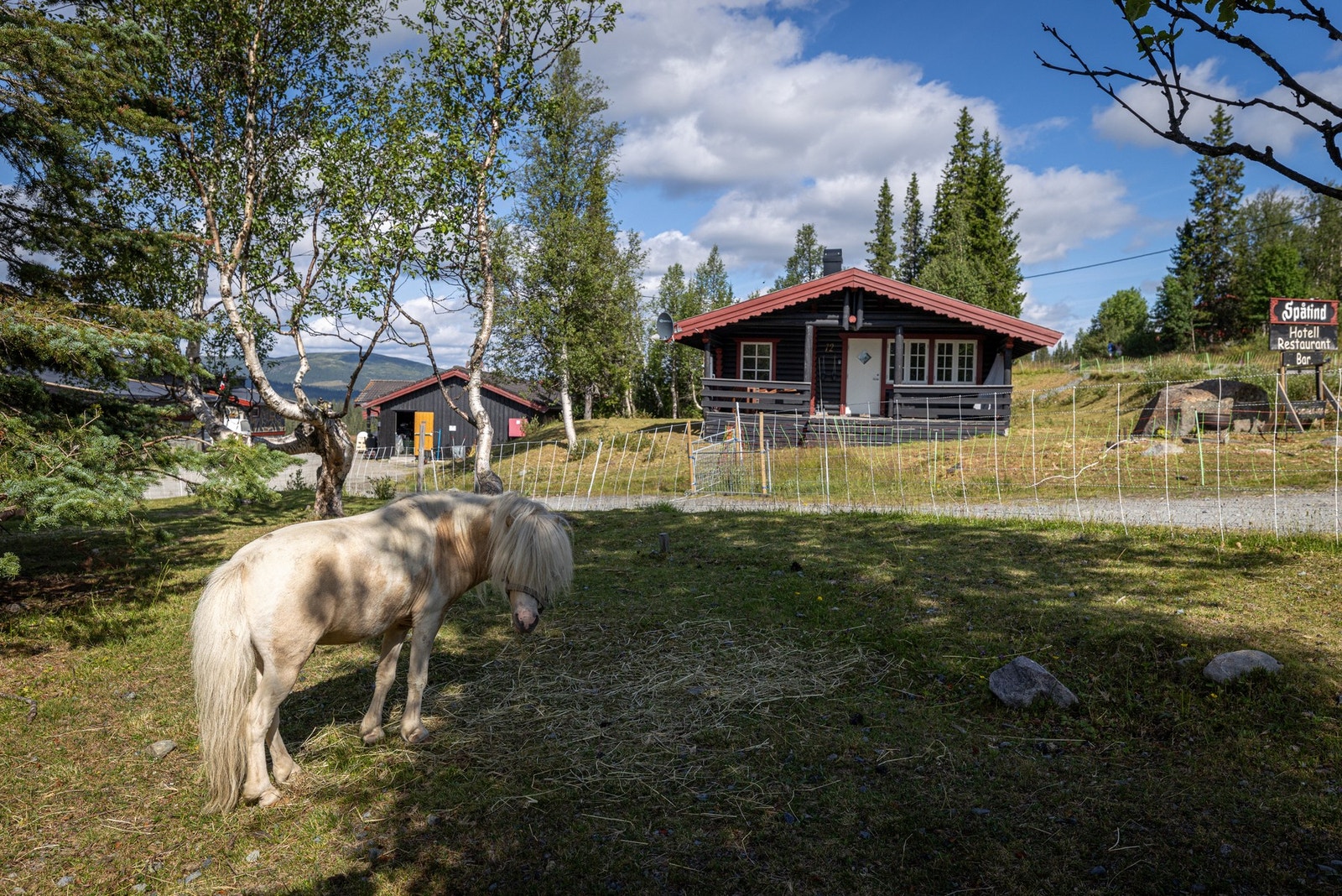 Hotellet tilbyr hesteridning for de minste. Galleribilde