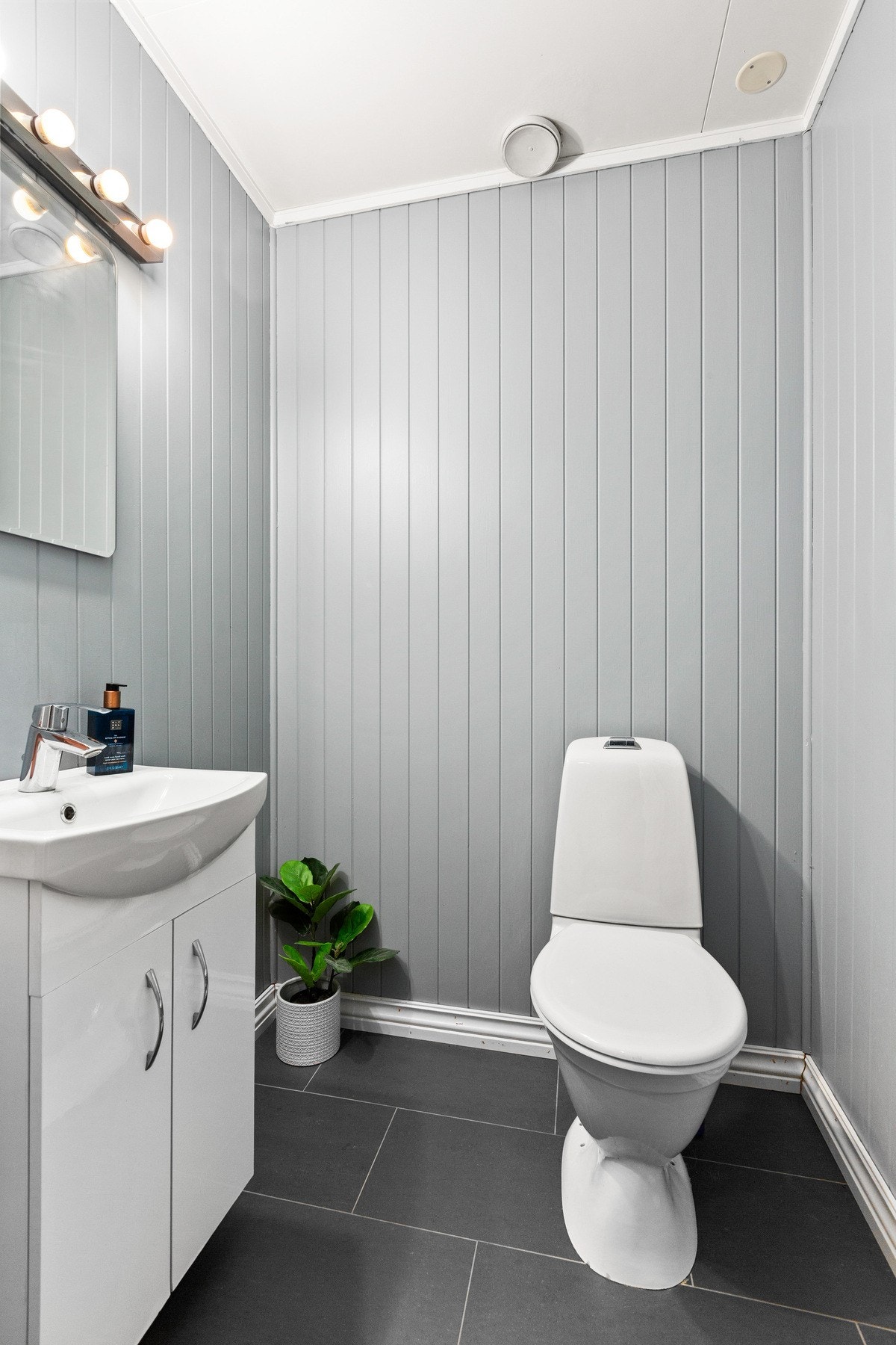 Toalett Galleribilde