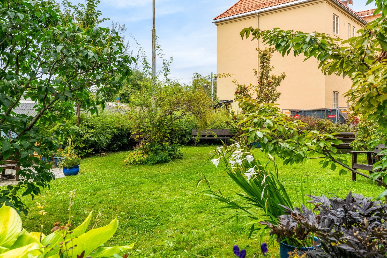 Her har man gode solforhold store deler av dagen. Galleribilde