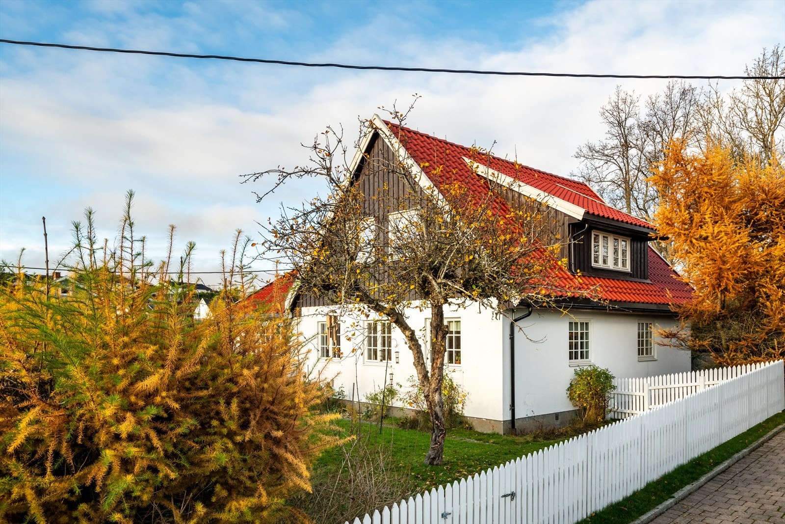 Inngjerdet hage på sydsiden med svært gode solforhold. Galleribilde