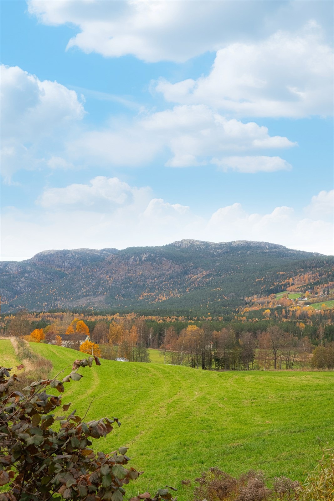 Fra boligen er det herlig utsikt mot omliggende jorder og naturområder. Galleribilde