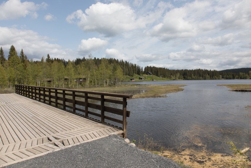 Områdebilde Galleribilde