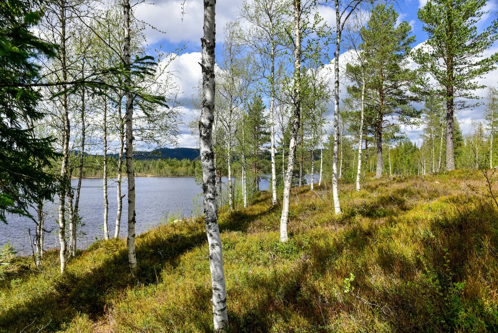 Det er flere småvann i området som egner seg godt for båt, fiske og bading Galleribilde