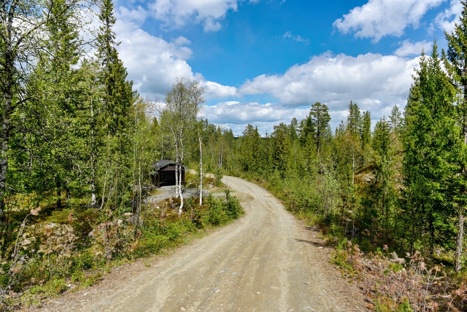 Fine grusveier i området, fint for en sykkeltur Galleribilde