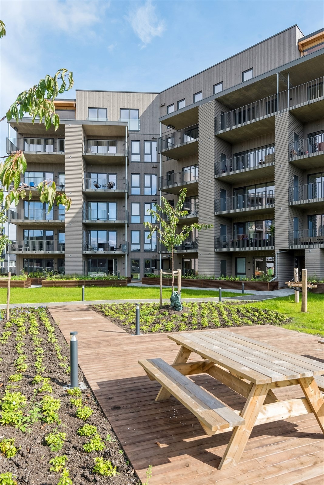 Pent opparbeidet felleshage. Galleribilde