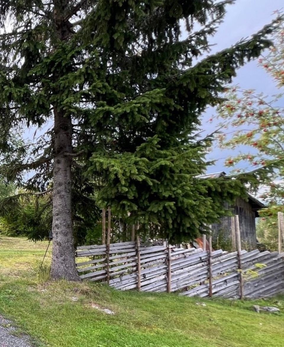 Inngangpartiet til eiendommen prydes av en sjarmerende skigard. Galleribilde