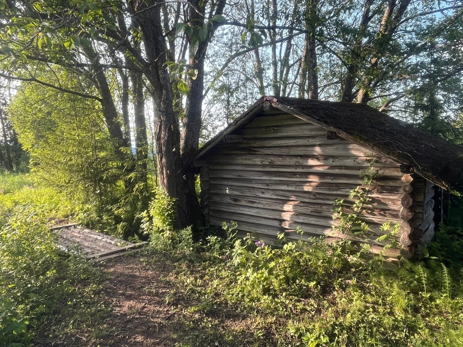 En annen liten og sjarmerende tømmerbygning står og gjemmer seg litt bak annekset. Denne er registrert som tidligere revet i kommunens kartotek, men den fortjener vel egentlig å få komme fram i lyset og skinne litt igjen? Galleribilde