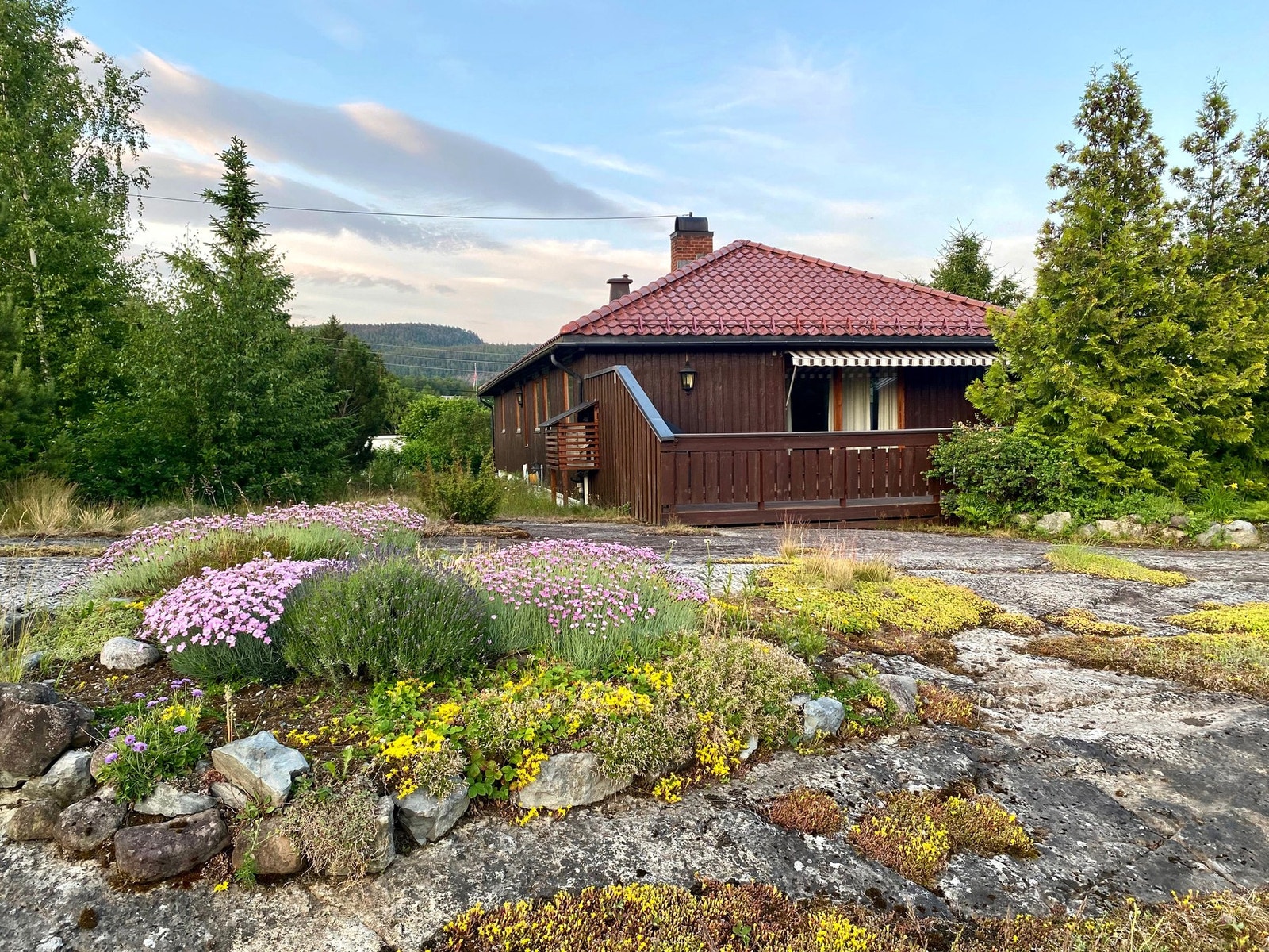 Privat bilde Galleribilde