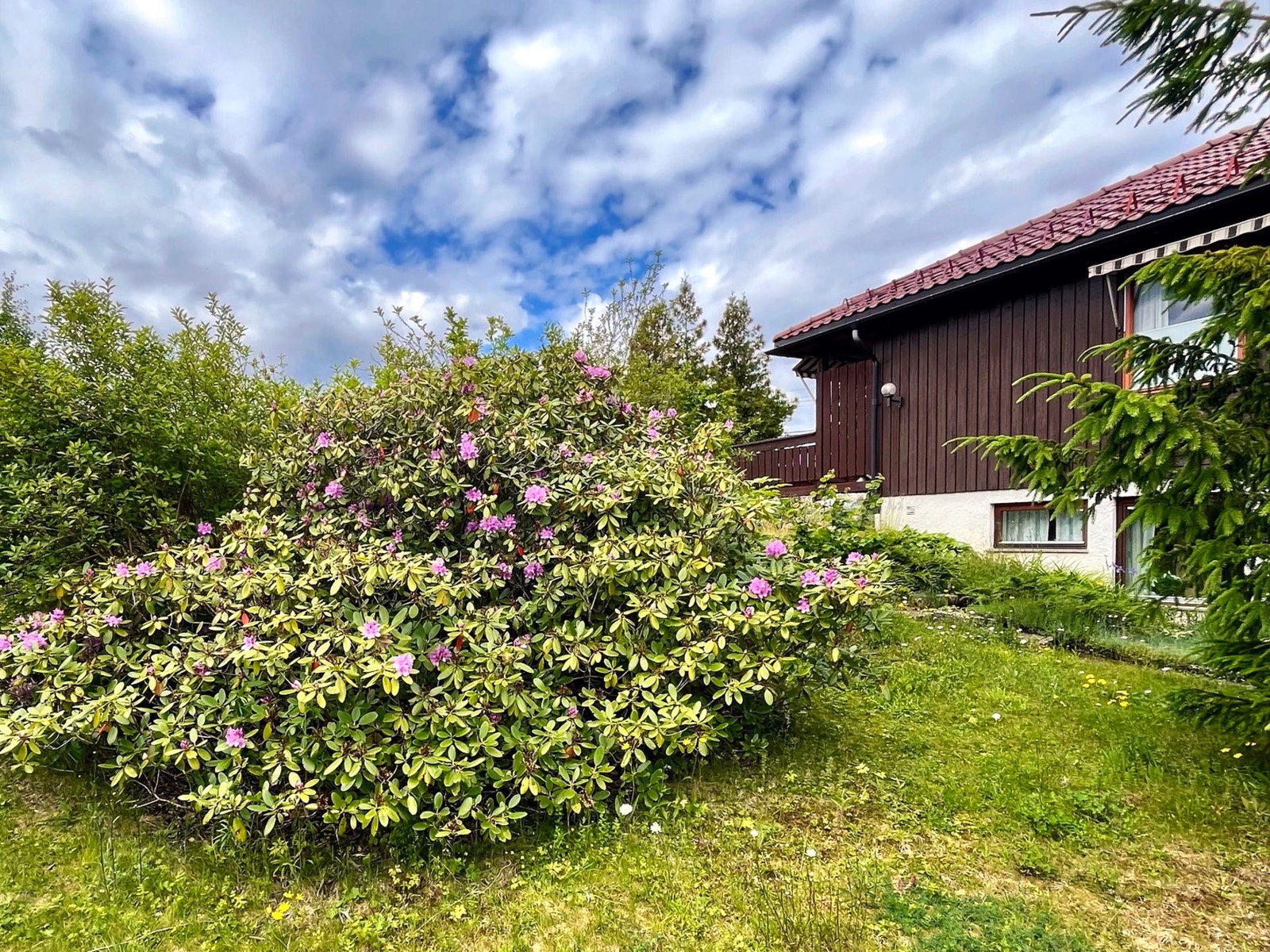 Privat bilde Galleribilde