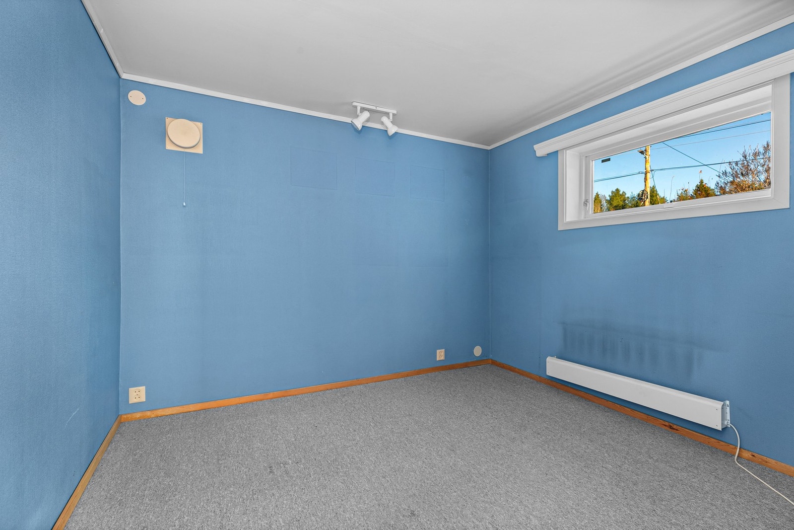 Hobby/Trimrom Galleribilde