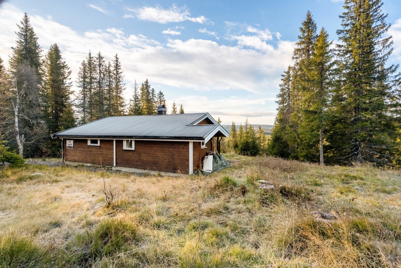 Koselig hytte, helårsveg og innlagt strøm Galleribilde