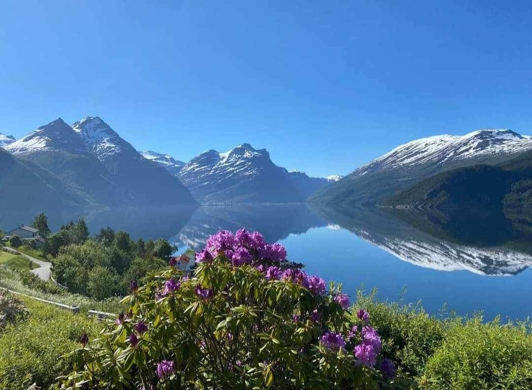 Bilde tatt av selger. Galleribilde