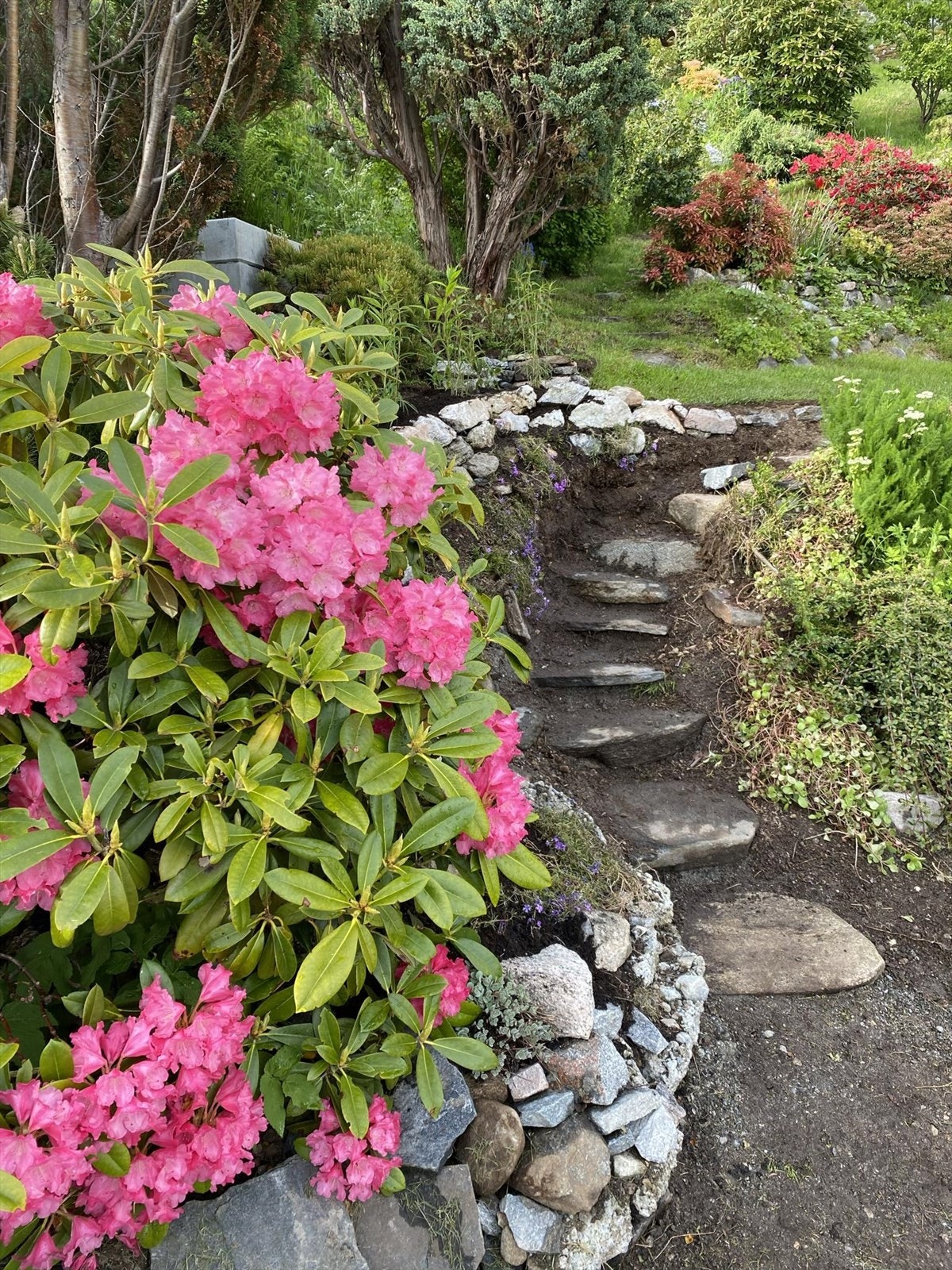 Bilde tatt av selger. Galleribilde