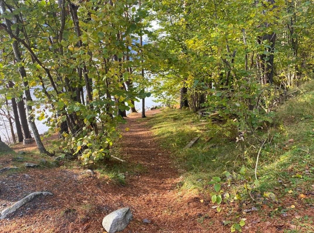 Turmuligheter I - Flåstranda. Bilde tatt av selger. Galleribilde