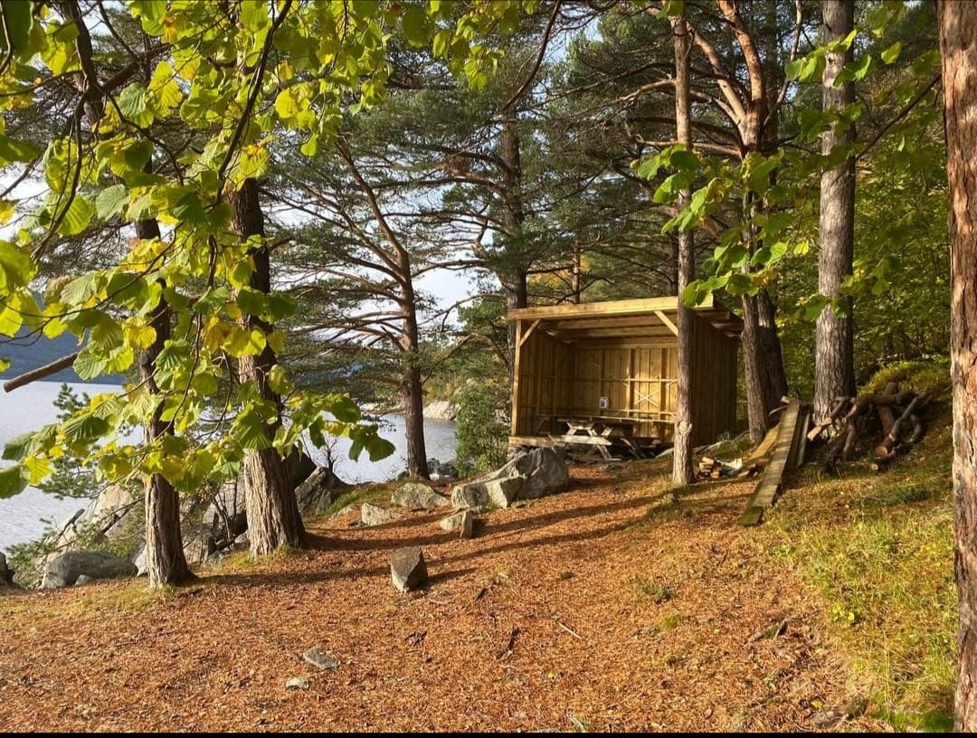 Turmuligheter II - Flåstranda. Bilde tatt av selger. Galleribilde